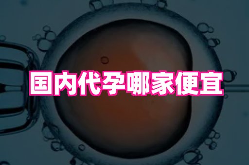 权威助孕网 1