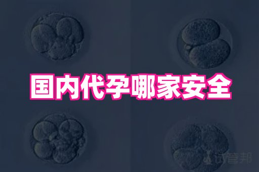 权威助孕网 3