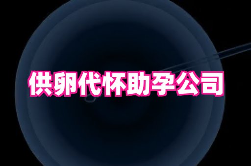 权威助孕网 4